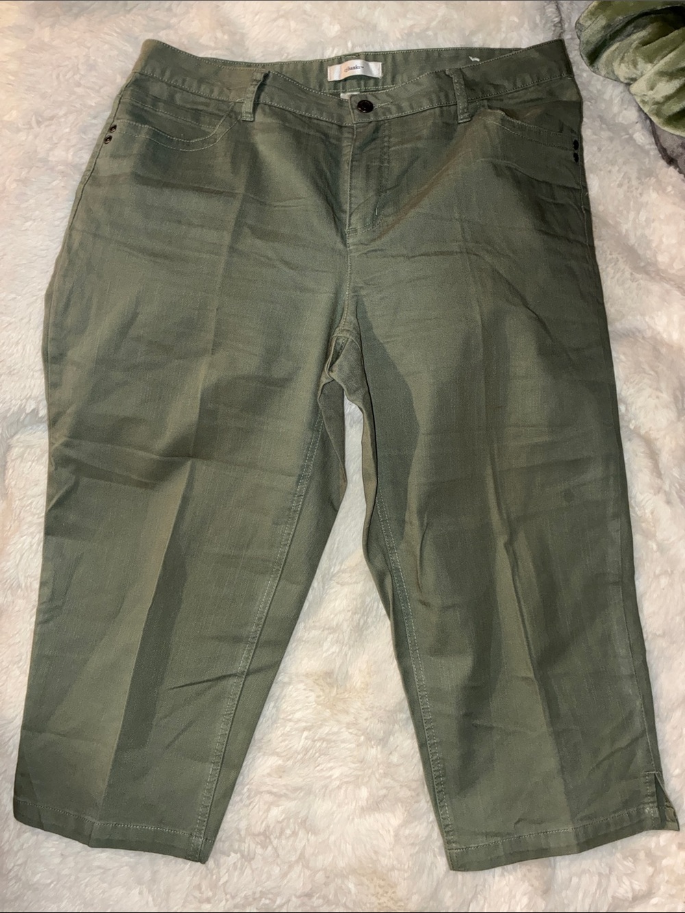 CJ Banks Olive Green Capris